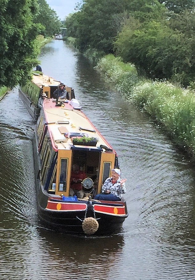 Rosemary on Board (by Cliff) photograph